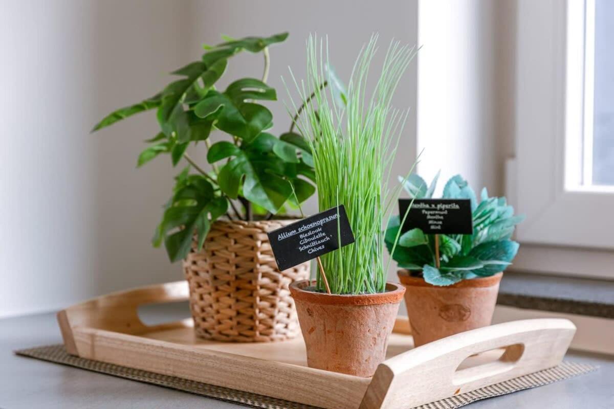 Pleasant Apartment Near The Center Of Gent Ngoại thất bức ảnh
